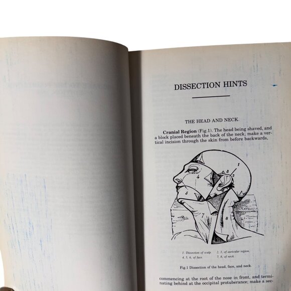 The Concise Grays Anatomy Book by C.H. Leonard AM MD Chartwell Books 1983  Omega - Picture 8 of 16